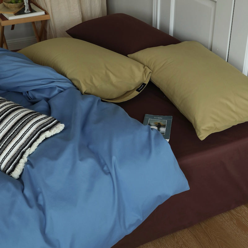 Minimalist Color-Blocked Warm Pure Cotton Thickened Brushed Four-Piece Bed Set