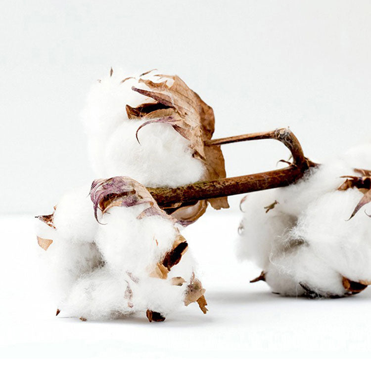 Pastoral Flower Princess Pure Cotton Quilt Cover Bed Set - Harmony Gallery