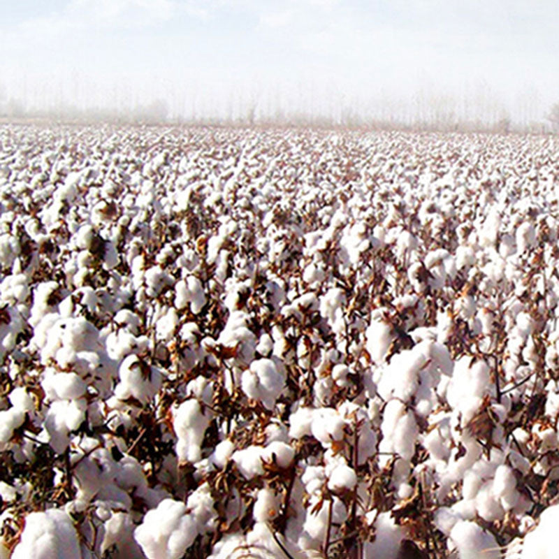 Luxury Simple Ice Silk Embroidery Pure Cotton Four-Piece Bed Set - Harmony Gallery