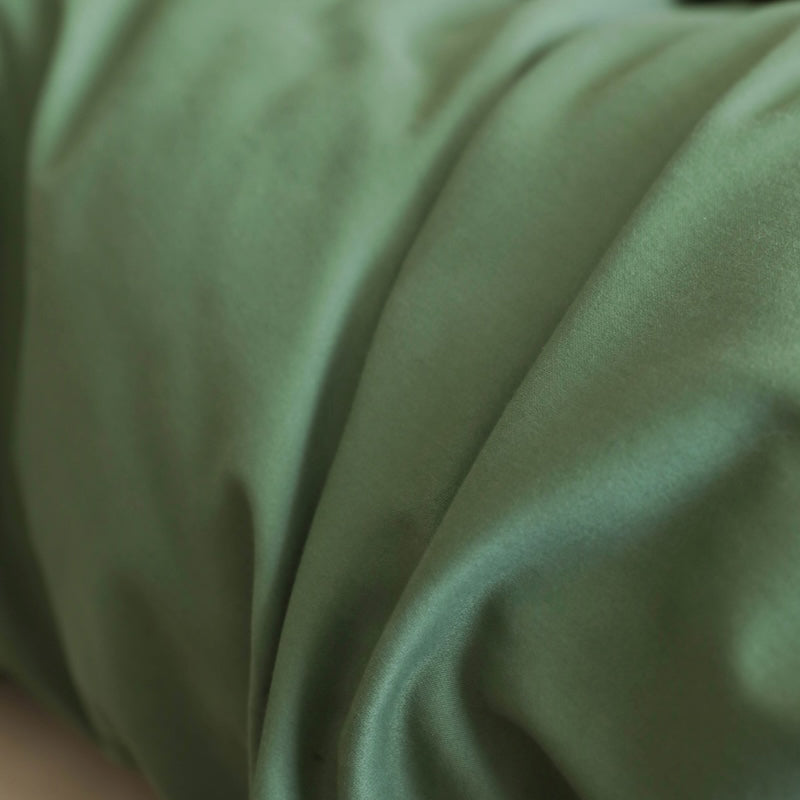 Minimalist Color-Blocked Warm Pure Cotton Thickened Brushed Four-Piece Bed Set