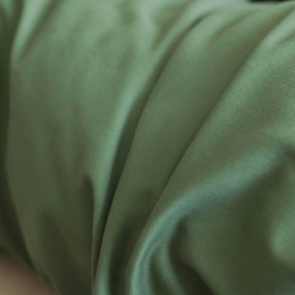 Minimalist Color-Blocked Warm Pure Cotton Thickened Brushed Four-Piece Bed Set