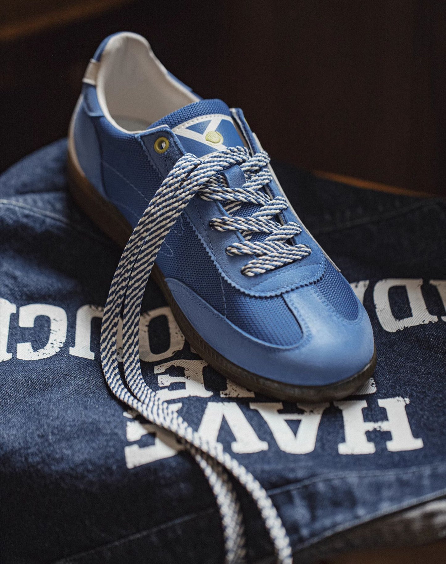 German Retro Sports Forrest Gump Mesh Polar Blue Breathable Men's Casual Shoes - Harmony Gallery