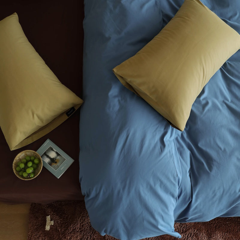 Minimalist Color-Blocked Warm Pure Cotton Thickened Brushed Four-Piece Bed Set